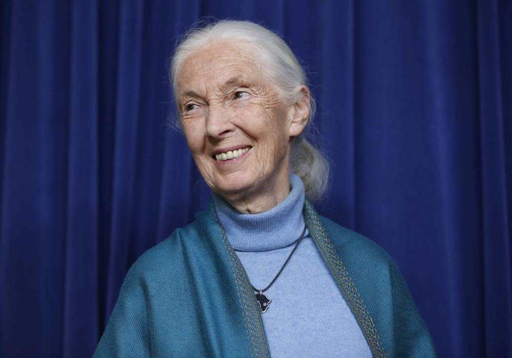 Jane Goodall - Jane Goodall talks coronavirus impact, Nat Geo documentary - clickorlando.com - Los Angeles
