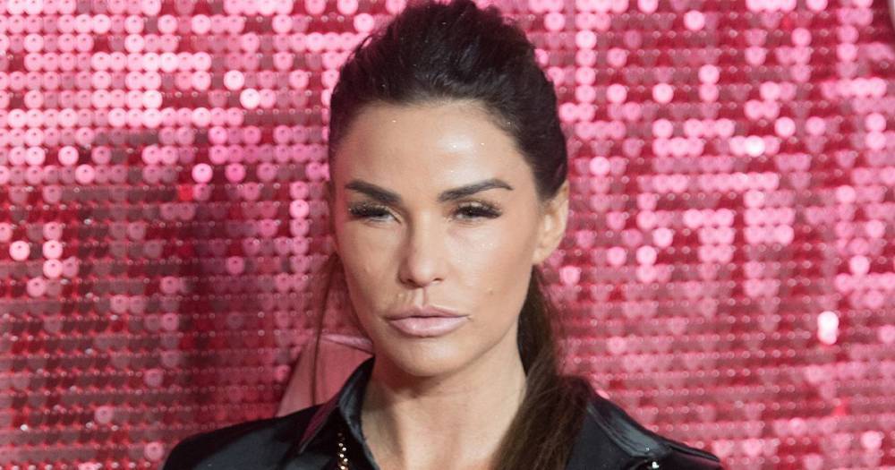 Katie Price - Katie Price goes on furious rampage as pet cat Hagrid chews up fancy furniture - mirror.co.uk