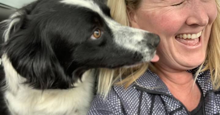 Nova Scotia - Nova Scotia truck driver helps reunite St. Thomas, Ont., woman and dog separated by pandemic - globalnews.ca - New York - Nepal - city New York - county Craig - London