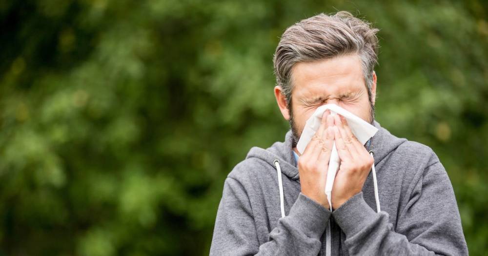 Doctors explain how to avoid mistaking hay fever symptoms for coronavirus - mirror.co.uk