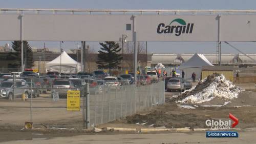 Jill Croteau - Cargill meat plant temporarily closing amid COVID-19 outbreak - globalnews.ca