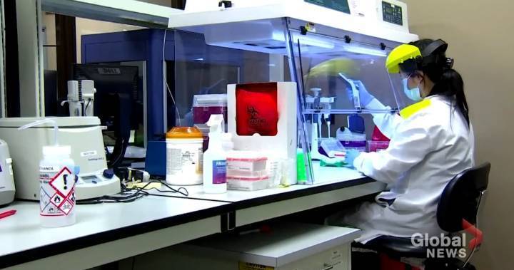 Coronavirus: Dozens of companies on wait-list to distribute test kits in Canada amid shortage - globalnews.ca - South Korea - Britain - Canada