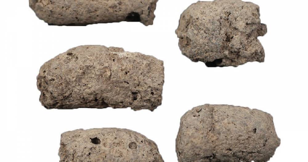 Artificial Intelligence distinguishes between 1000 year old ancient human and dog poo - dailystar.co.uk - Germany
