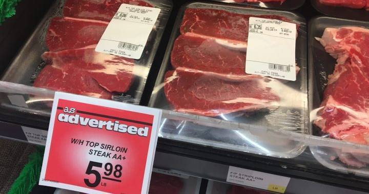 Coronavirus: Ranchers feel pain of low cattle prices while consumers told not to expect deals on beef - globalnews.ca - Canada