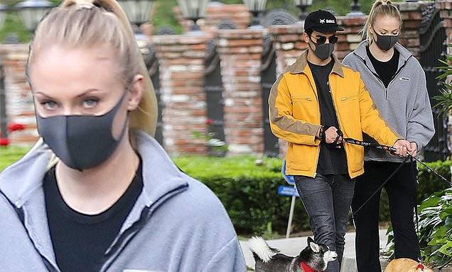 Joe Jonas - Sophie Turner and husband Joe Jonas wear masks to walk their three dogs - dailymail.co.uk - Britain - state New Jersey - state Arizona