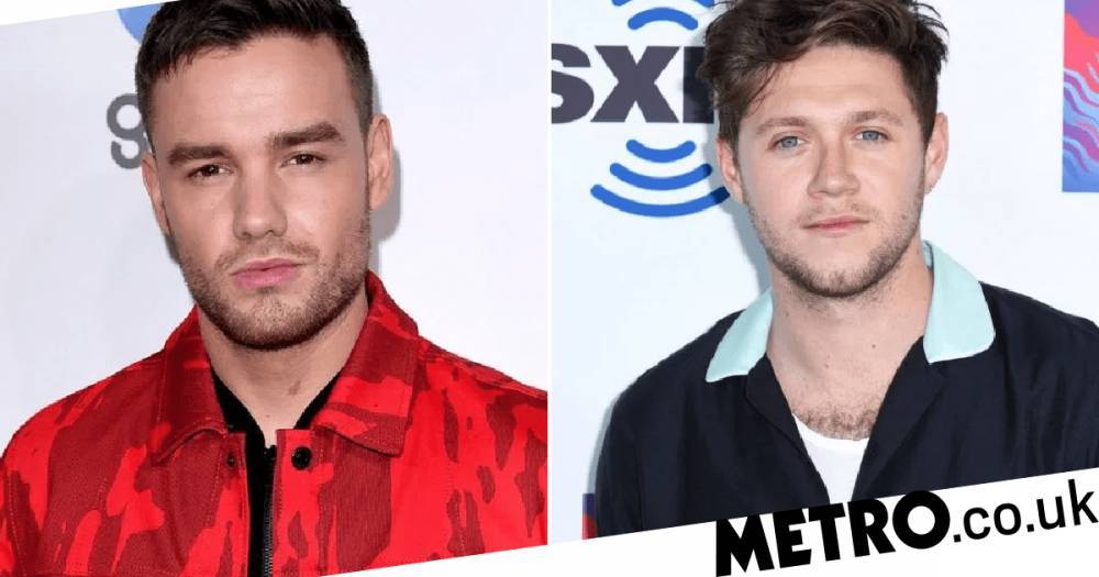Niall Horan - Louis Tomlinson - Liam Payne and Niall Horan mock Louis Tomlinson as they reunite during lockdown ahead of One Direction ‘reunion’ - metro.co.uk