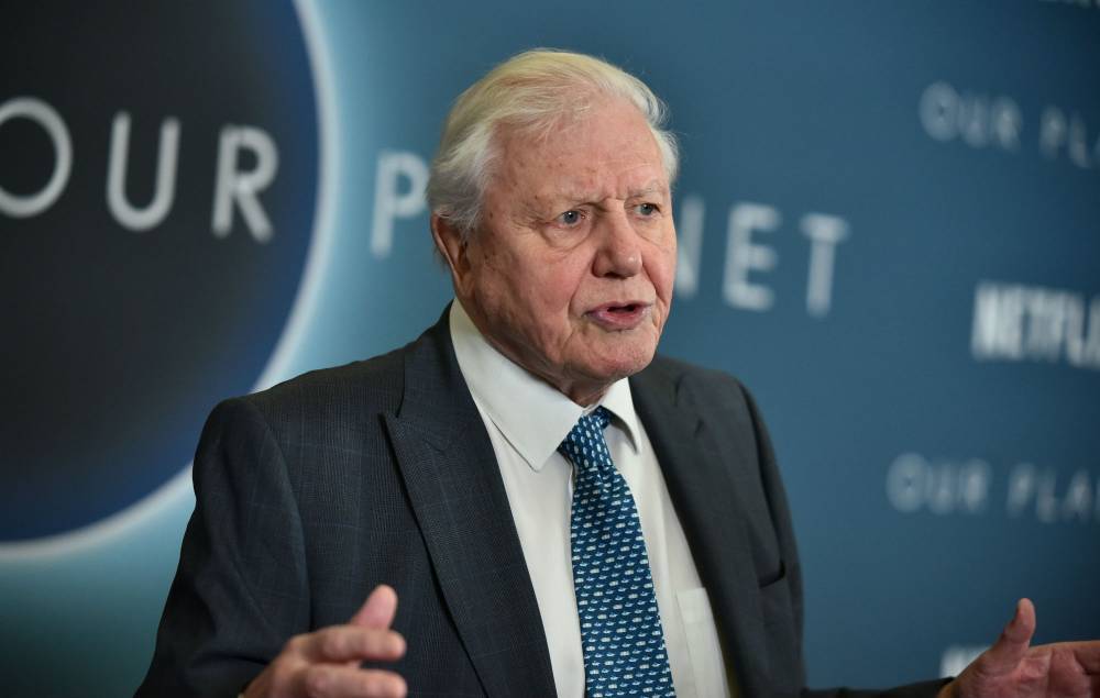 David Attenborough - David Attenborough will teach online Geography lessons to social distancing kids - nme.com