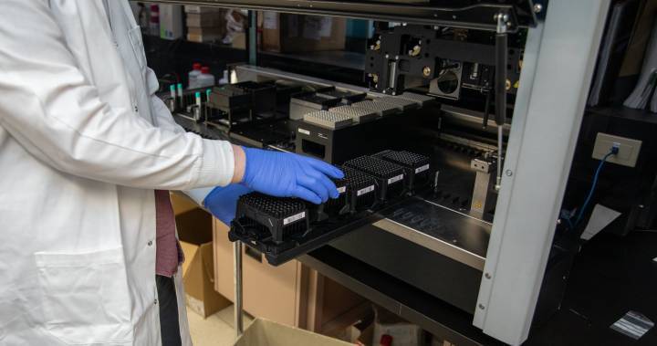 Hamilton researchers hope ‘robot colleagues’ will help step up coronavirus testing - globalnews.ca - county St. Joseph