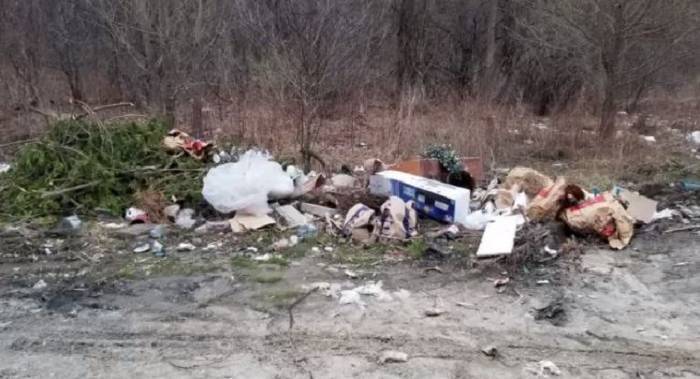 Coronavirus: ‘Significant increase’ in household garbage dumping at Toronto-area national park - globalnews.ca - Canada - county Park - county Durham