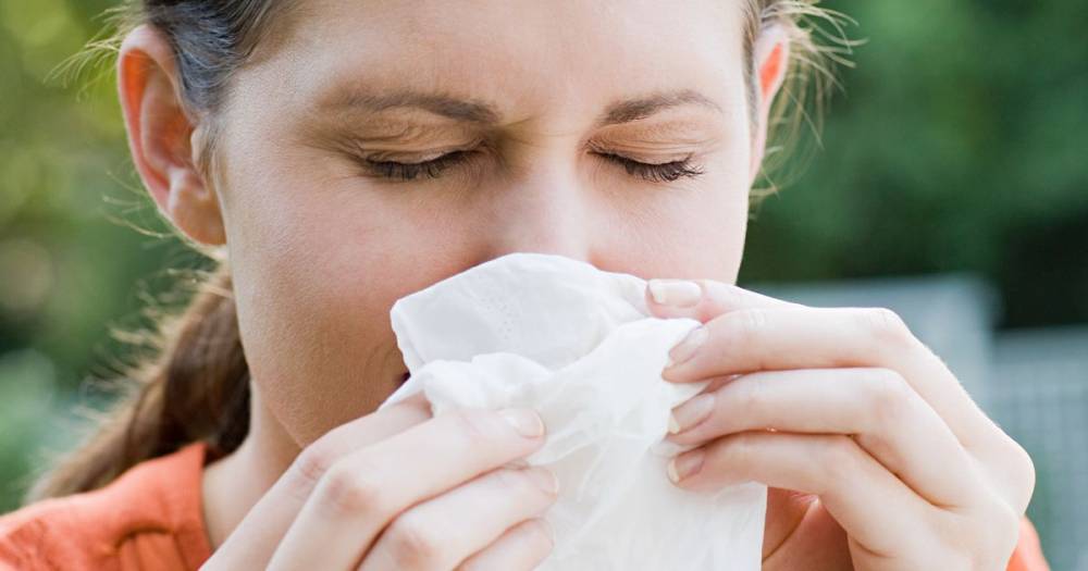 How to tell the difference between hay fever and coronavirus - dailyrecord.co.uk