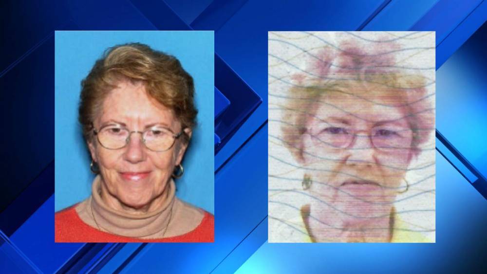 Silver Alert: Missing Daytona Beach Shores woman found safe - clickorlando.com - state California - county Volusia