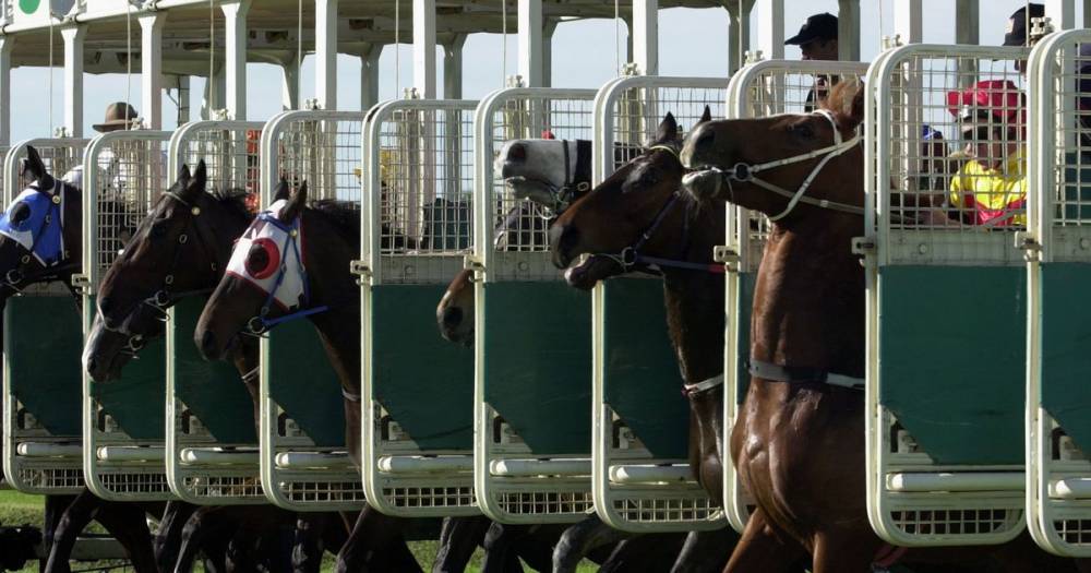 Jockey who headbutted rival rider after Australian race is banned for six months - mirror.co.uk - Australia