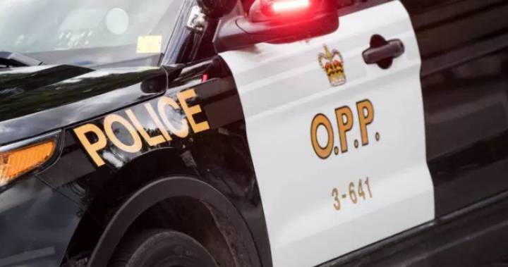 OPP investigating reports of someone impersonating an officer in Wellington County - globalnews.ca - city Wellington - county Ontario