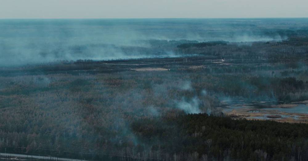 Chernobyl forests burnt to ash as apocalyptic drone footage shows extent of wildfires - dailystar.co.uk - Ukraine