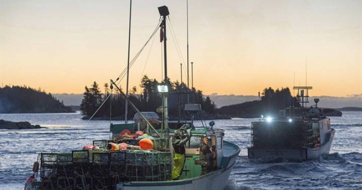 Nova Scotia - Spring lobster season delayed 2 weeks due to COVID-19 concerns - globalnews.ca - county Prince Edward