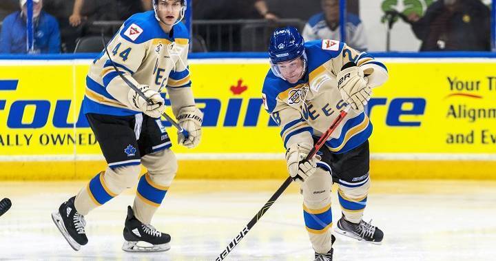 Coronavirus: B.C. Hockey League seeking financial help from province to offset ‘major losses’ - globalnews.ca - Canada