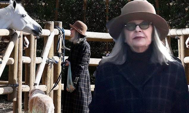 Diane Keaton - Diane Keaton feeds horses on neighborhood stroll after revealing she's social isolating all alone - dailymail.co.uk
