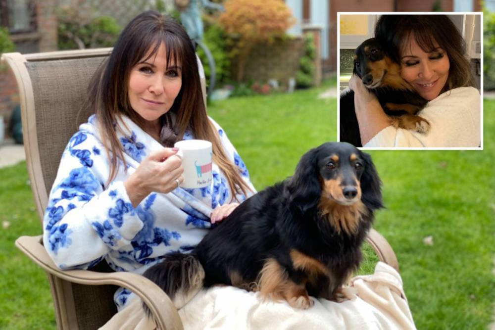Linda Lusardi - Linda Lusardi shares her heartbreak as dog Dexter dies weeks after her own brush with death - thesun.co.uk