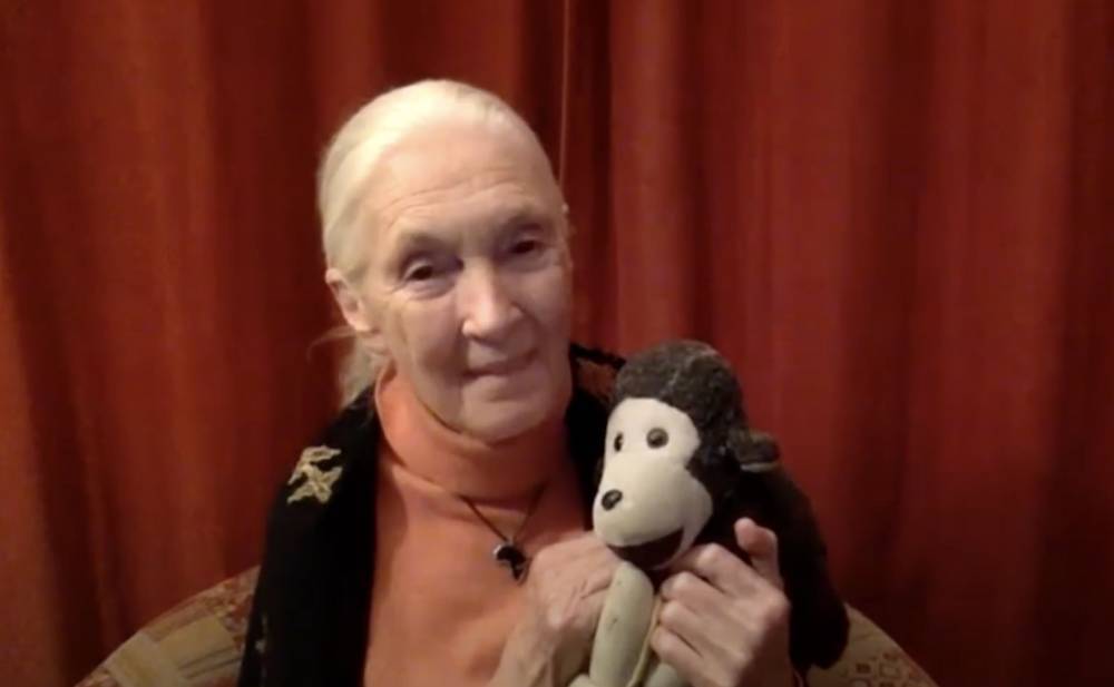 Jane Goodall - Dr. Jane Goodall Says Humans’ Disrespect For Nature Led To Pandemic - etcanada.com