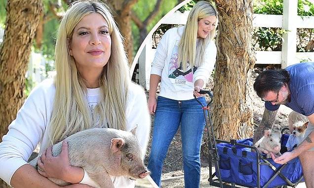 Tori Spelling - Tori Spelling carries pet pig during a walk with her family - dailymail.co.uk - Los Angeles - city Los Angeles