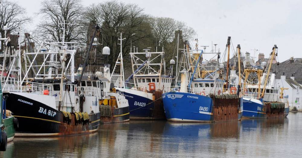 Kirkcudbright scallop boat skipper speaks of relief as Scottish Government extends coronavirus aid package - dailyrecord.co.uk - Scotland