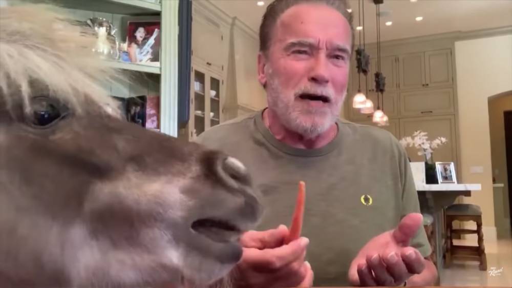 Arnold Schwarzenegger - Arnold Schwarzenegger’s Adorable Pet Horse And Donkey Crash Jimmy Kimmel Interview - etcanada.com