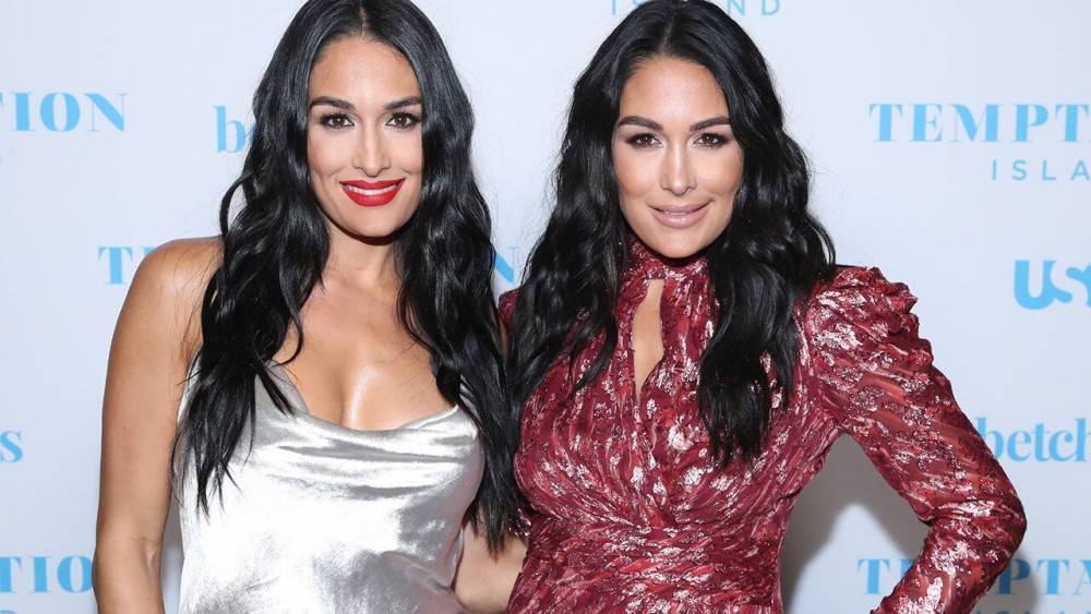 Pregnant Nikki and Brie Bella are 'very scared' of coronavirus but dad says they 'have each other' - foxnews.com - Usa - state Arizona