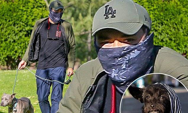 Henry Golding - Crazy Rich Asians star Henry Golding walks his fostered pitbull after pup accused of mauling - dailymail.co.uk - Malaysia - Los Angeles - state California - city Santa Monica, state California