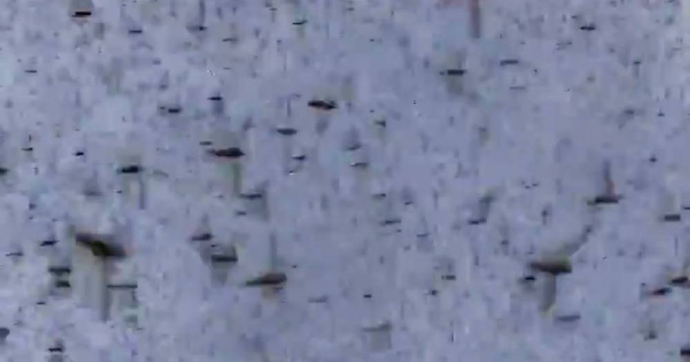 Millions of locusts turn sky black as they sweep across road in Africa - dailystar.co.uk - Washington - Ethiopia - Kenya