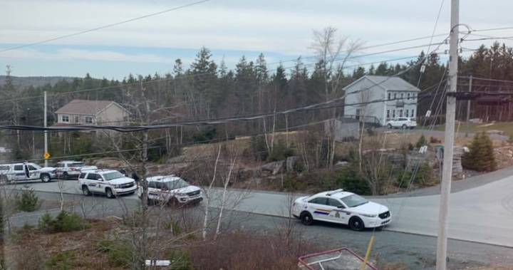 Nova Scotia - Health Authority - N.S. issues emergency alert as police respond to multiple reports of shots fired in HRM - globalnews.ca