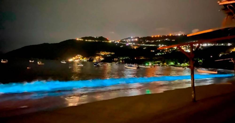 Mesmerising neon waves crash on empty Mexican beach amid coronavirus crisis - mirror.co.uk - Mexico