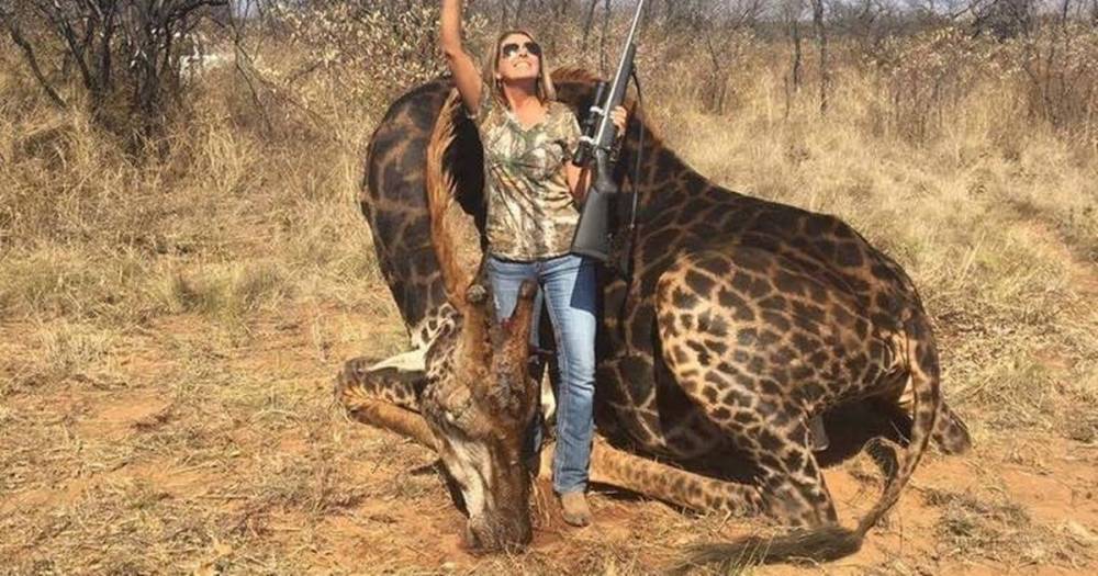 Donald Trump - Ricky Gervais - Trophy hunter who shot giraffe 'proud' of sick vid as she taunts Ricky Gervais - dailystar.co.uk - Usa - South Africa