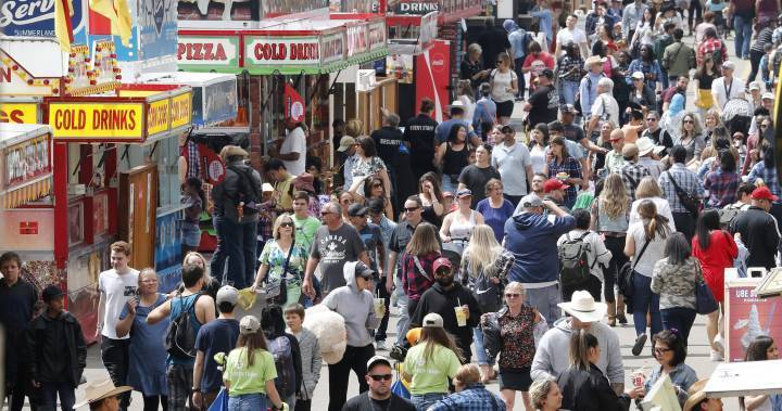 Small businesses face uncertain future after Calgary Stampede cancellation - globalnews.ca