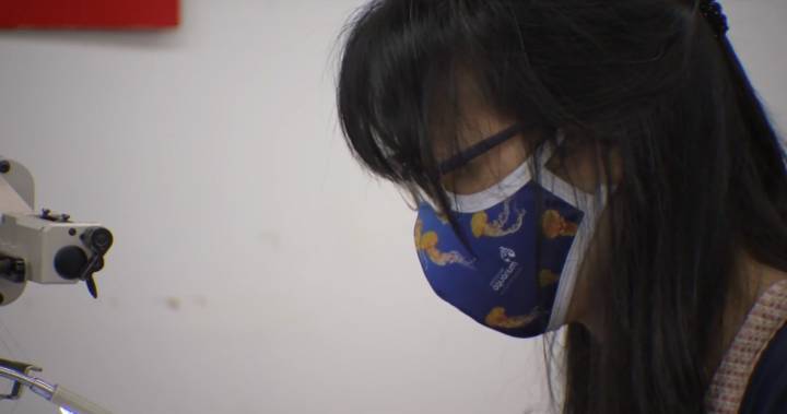 Vancouver Whitecaps, Aquarium team up with face mask fundraiser - globalnews.ca