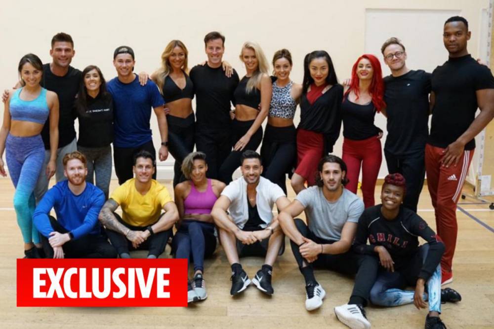 Shirley Ballas - Craig Revel Horwood - Bruno Tonioli - Strictly Come Dancing’s pro dancers fight for pay rise after coronavirus cancels their tours - thesun.co.uk