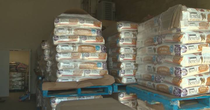 Coronavirus: Albertans unable to afford food for animals are getting much-needed support - globalnews.ca
