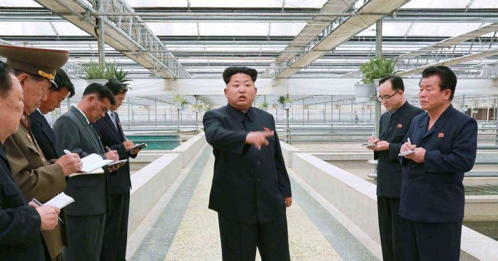 Kim Jong - Kim Il 51 (51) - Kim Jong-un's doctor 'botched heart surgery as his hands were shaking', sources claim - mirror.co.uk - China - Japan - North Korea - city Pyongyang