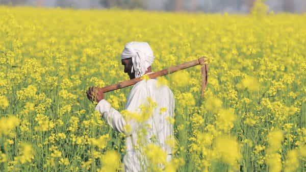 Hapless farmers face a long wait to sell winter harvest - livemint.com - city New Delhi - India