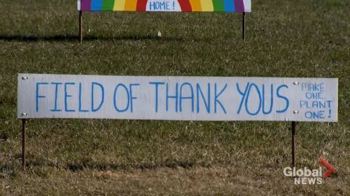 Felicia Parrillo - Coronavirus outbreak: Baie-d’Urfé residents create field of rainbows to thank front-line workers - globalnews.ca