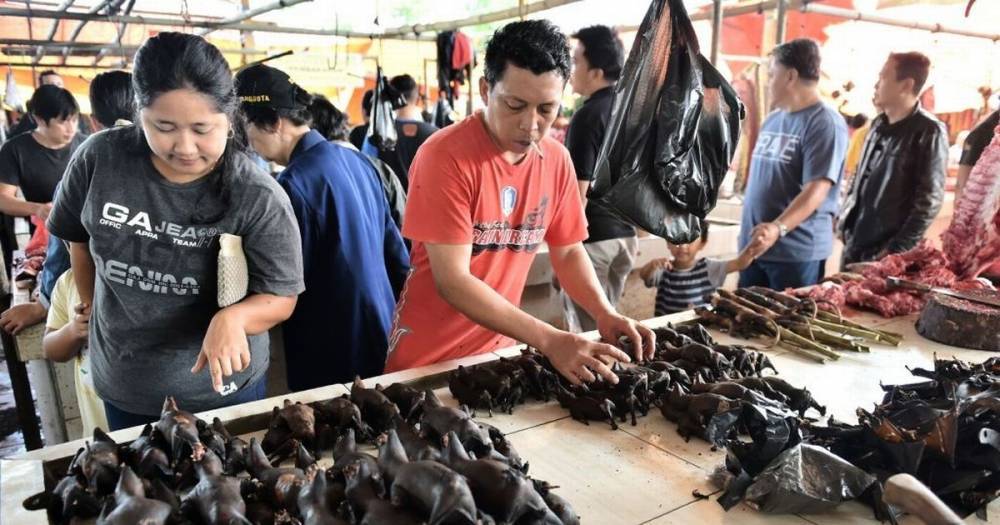 Indonesian wet market still open and selling bats despite links to coronavirus - dailystar.co.uk - Indonesia