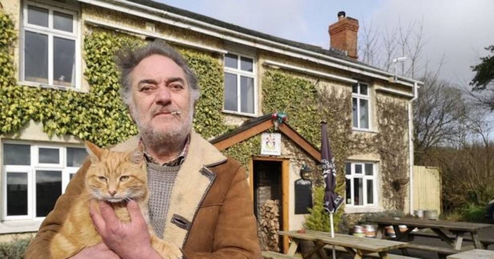 Landlord of 'UK's strangest pub' with Hitler the cat is drinking cellar dry - mirror.co.uk
