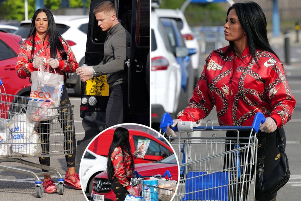 Katie Price - Peter Andre - Katie Price hits Tesco in protective gloves as she goes shopping with Dreamboys star Al Warrell in Surrey - thesun.co.uk