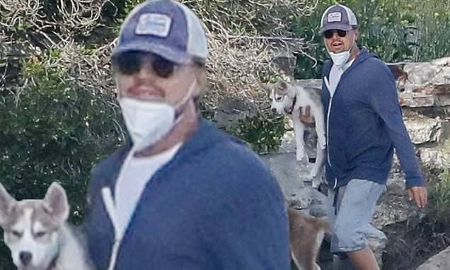 Leonardo DiCaprio keeps his mask down as he walks his two new foster puppies across a Malibu beach - dailymail.co.uk - state California - city Malibu