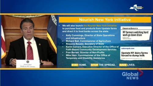 Andrew Cuomo - Coronavirus outbreak: New York seeing increase in state use of food banks, announces initiative to provide unsold dairy products to people in need - globalnews.ca - New York - city New York - county Westchester - county Long
