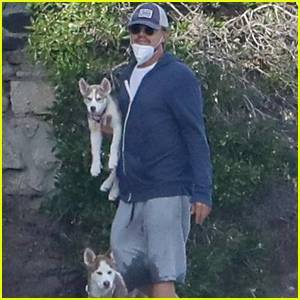 Camila Morrone - Leonardo DiCaprio Takes Camila Morrone's Foster Dogs Jack & Jill For Walk on The Beach - justjared.com - Los Angeles - county Jack