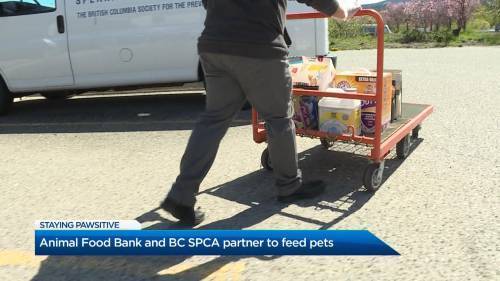Coronavirus: Animal Food Bank and BC SPCA partner to help feed animals - globalnews.ca