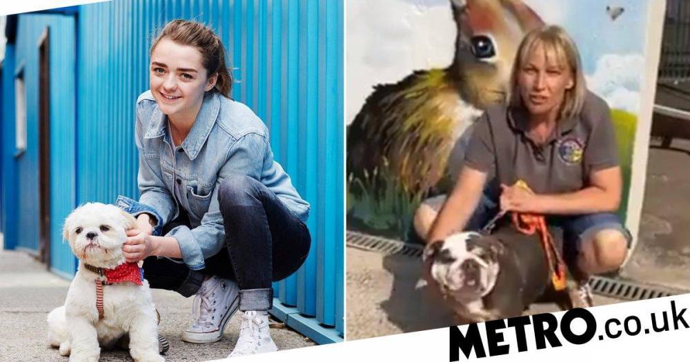 Maisie Williams - Game Of Thrones’ Maisie Williams donates £50,000 to local animal shelter amid coronavirus - metro.co.uk