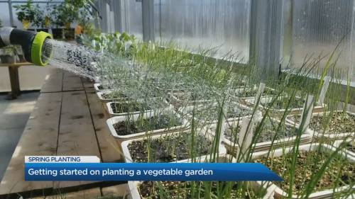 Gardening in self-isolation - globalnews.ca