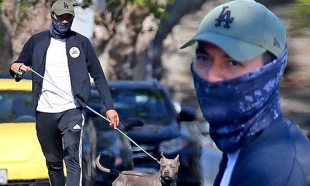 Henry Golding - Noelle Balfour - Crazy Rich Asians star Henry Golding takes his pitbull out for a walk - dailymail.co.uk - Los Angeles - city Los Angeles - county Rich