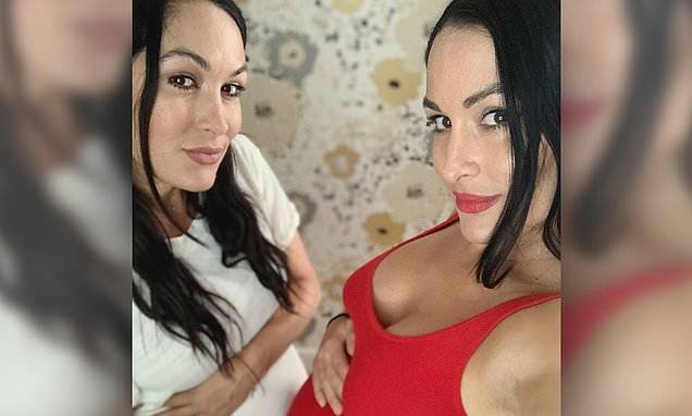 Nikki Bella and sister Brie show off their twin bumps - dailymail.co.uk
